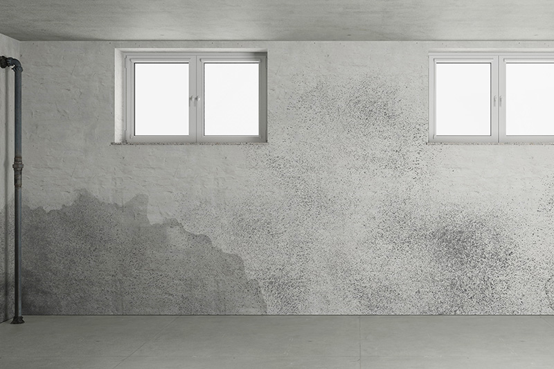 mold basement